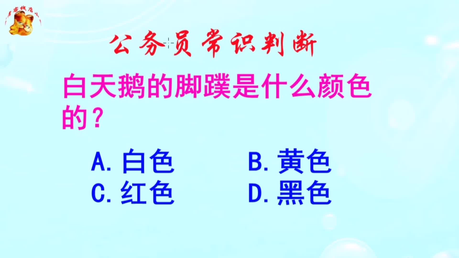 公务员常识判断，白天鹅的脚蹼是什么颜色的？长见识啦